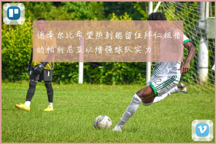 德泽尔比希望热刺能留住拜仁租借的帕利尼亚以增强球队实力